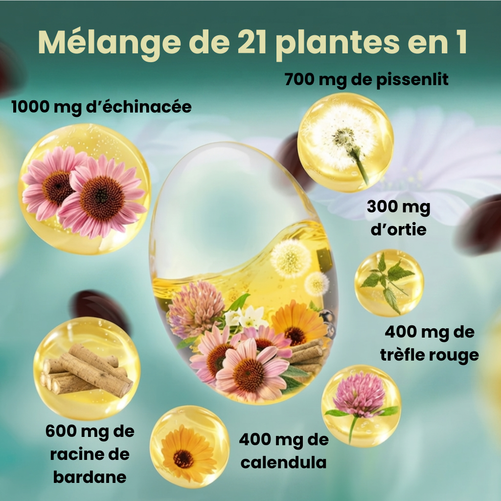 Drenzi — Drainage Lymphatique
